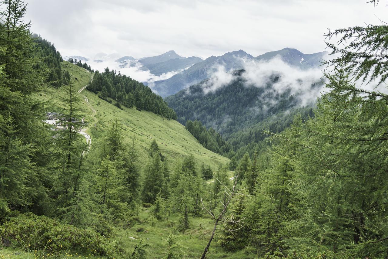Gasthaus Furlhuette Sterzing Exteriör bild